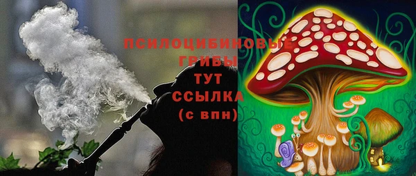 ешки Пересвет